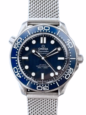 Seamaster Diver 300M