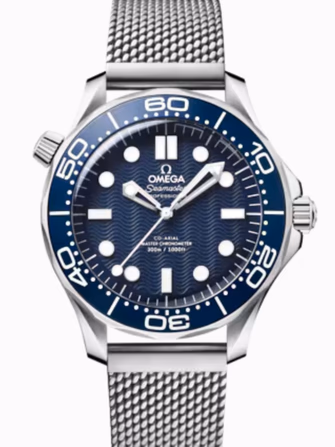Seamaster Diver 300M