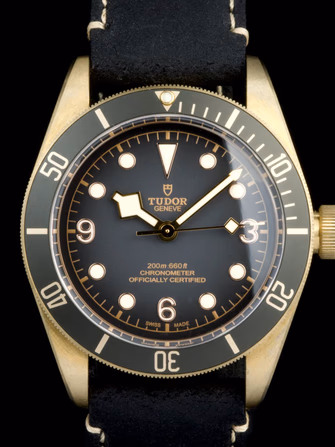 Black Bay Bronze