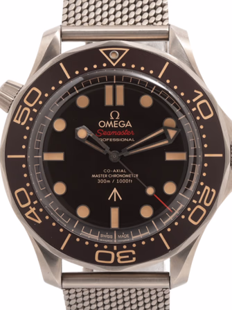 Seamaster Diver 300M