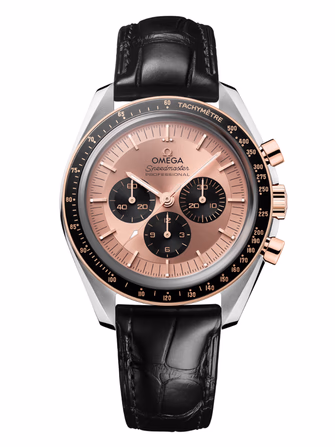 Speedmaster Moonwatch Professional 42