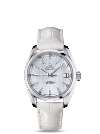 Seamaster Aqua Terra
